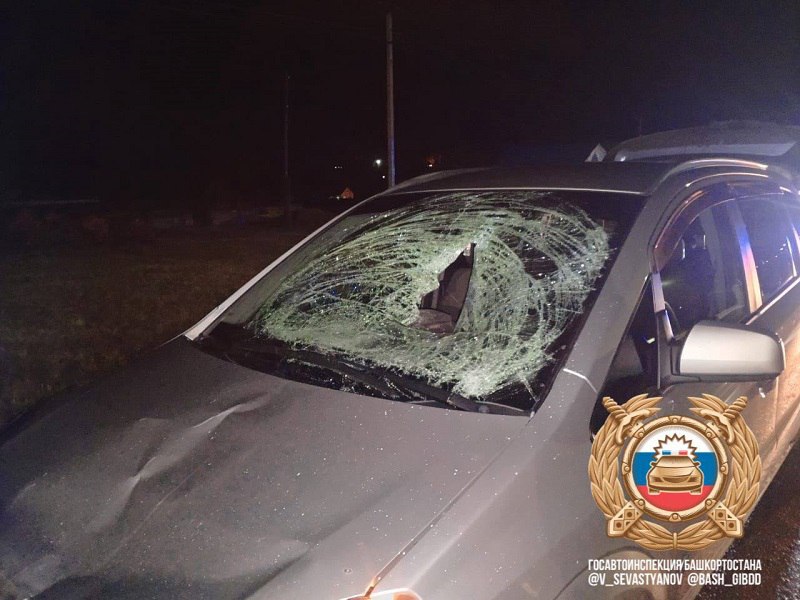 Насмерть сбил пешехода. ДТП произошло около 21:00 на улице Мира в селе Караидель Караидельского района Насмерть сбил пешехода. ДТП произошло около 21:00 на улице Мира в селе Караидель Караидельского района