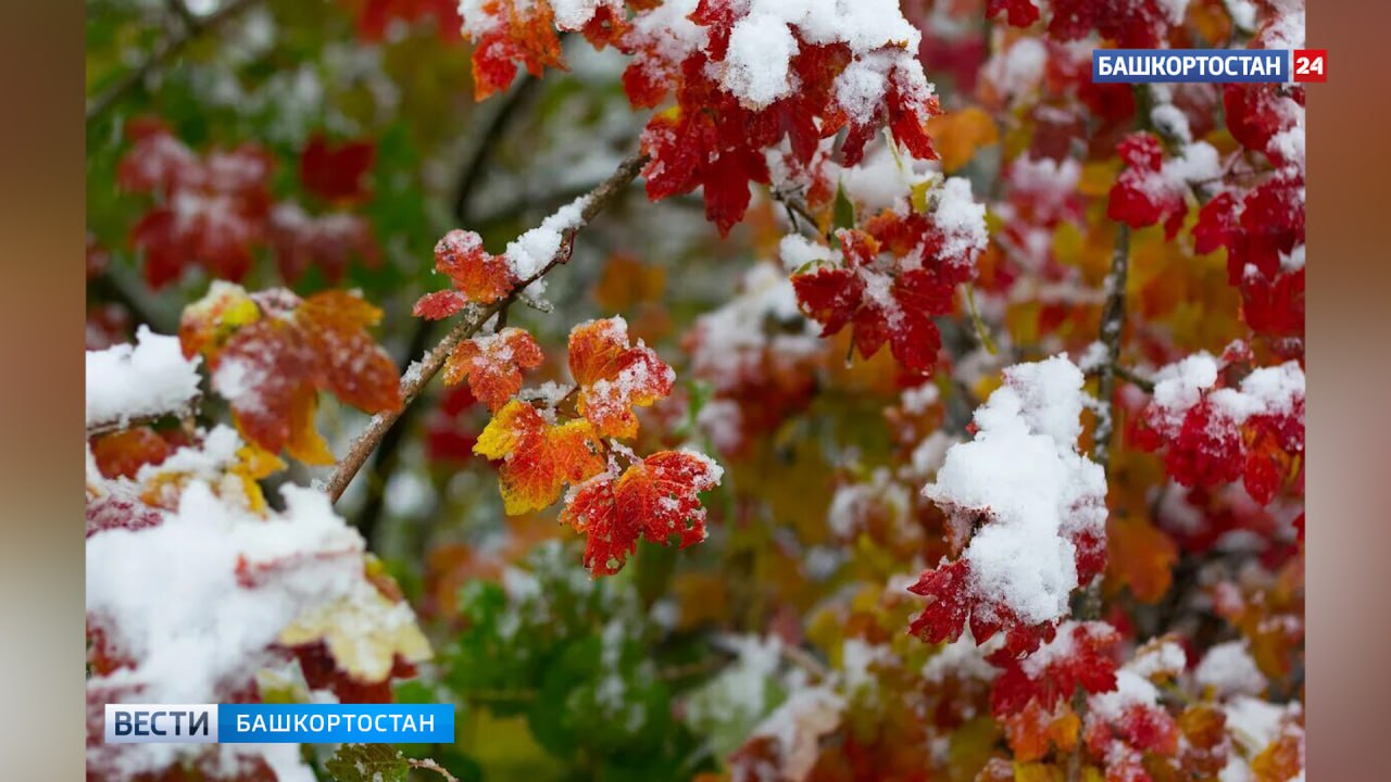 В Башкортостане 21 ноября ожидаются осадки в виде дождя и мокрого снега