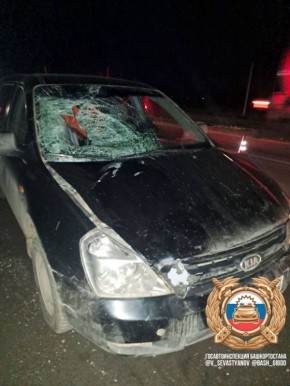 Насмерть сбили пешехода. Авария произошла вчера около 20:00 на 1 км автодороги М5 - «Урал» Уфимского района