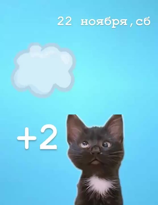 Доброе утро и хороших выходных!