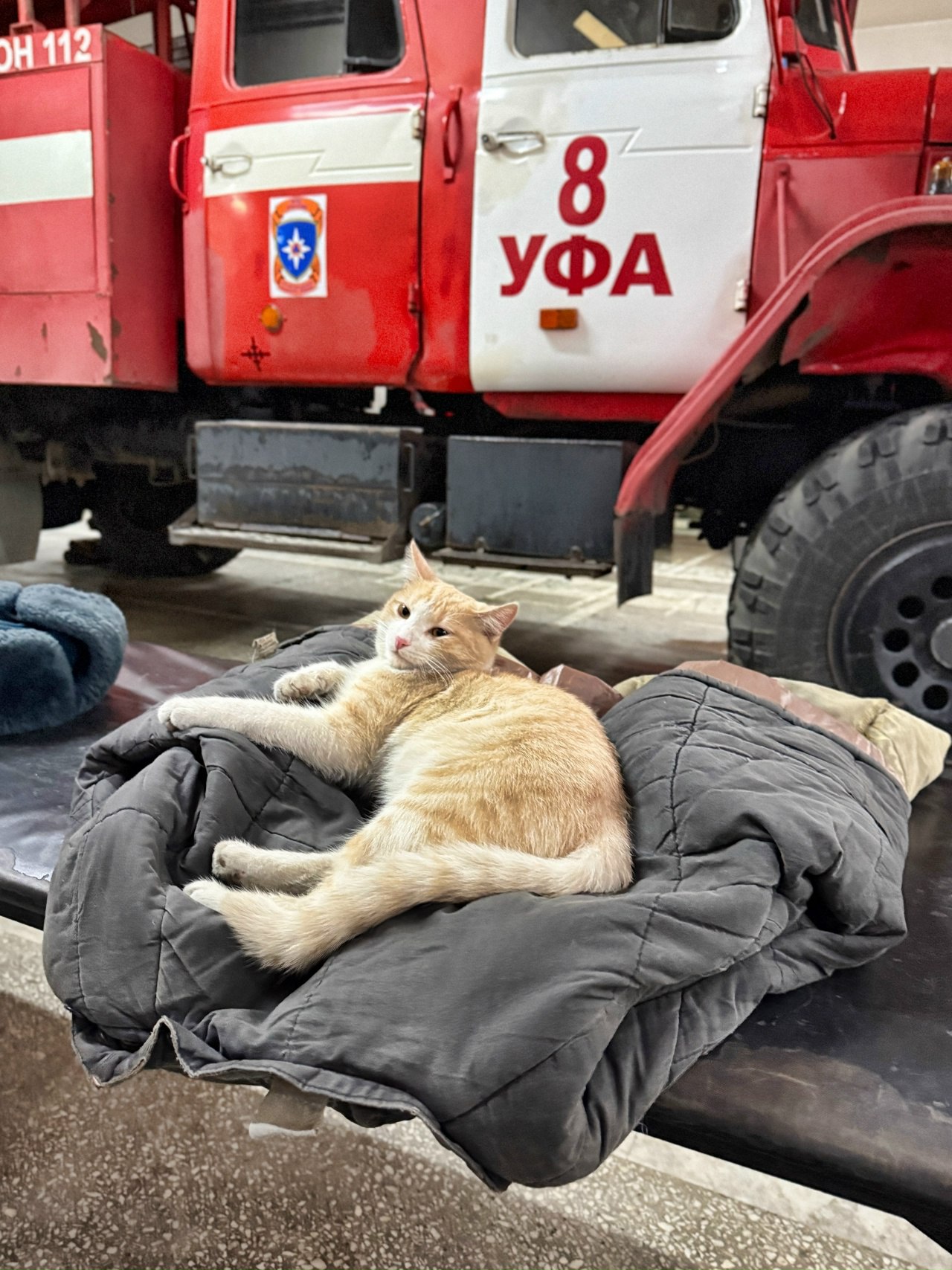 Впереди выходные дни и можно спокойно отдохнуть от рабочих будней