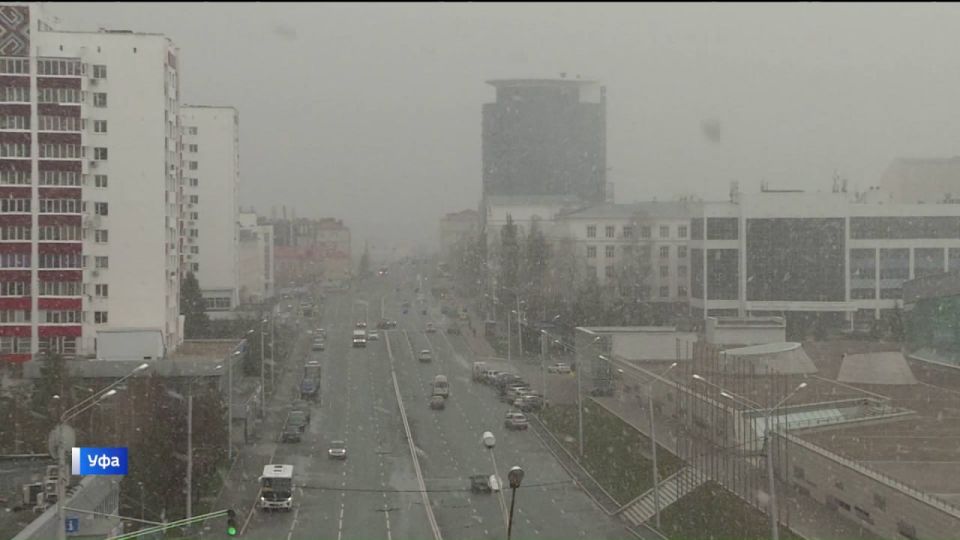 В Башкирии 23 ноября потеплеет до +8