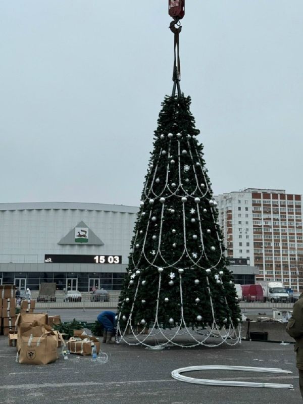 Перед Дворцом спорта устанавливают елку