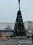 Перед Дворцом спорта устанавливают елку