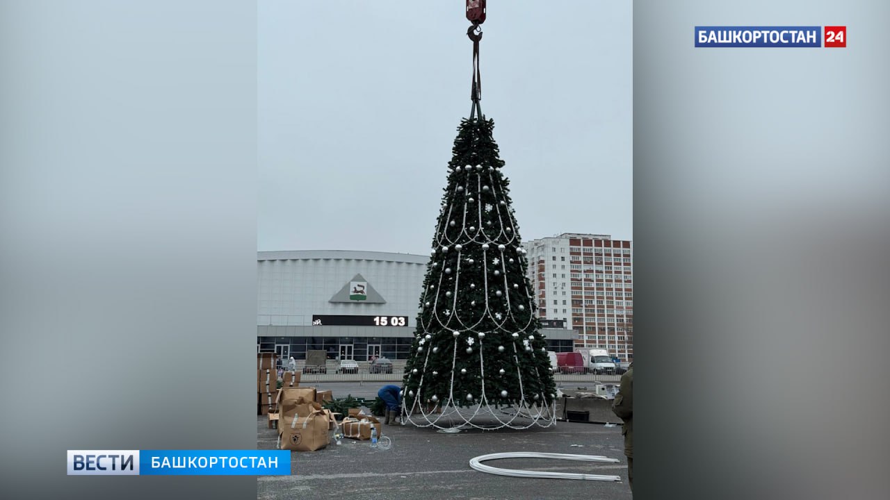 В Уфе перед Дворцом спорта начали устанавливать 20-метровую елку