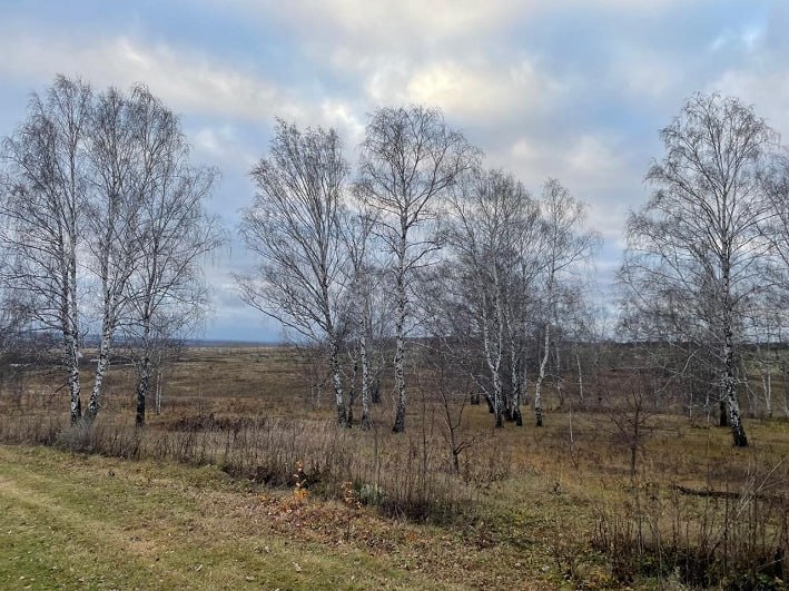 По данным Башгидромета, 24 ноября на территории республики ожидается облачная погода с прояснениями