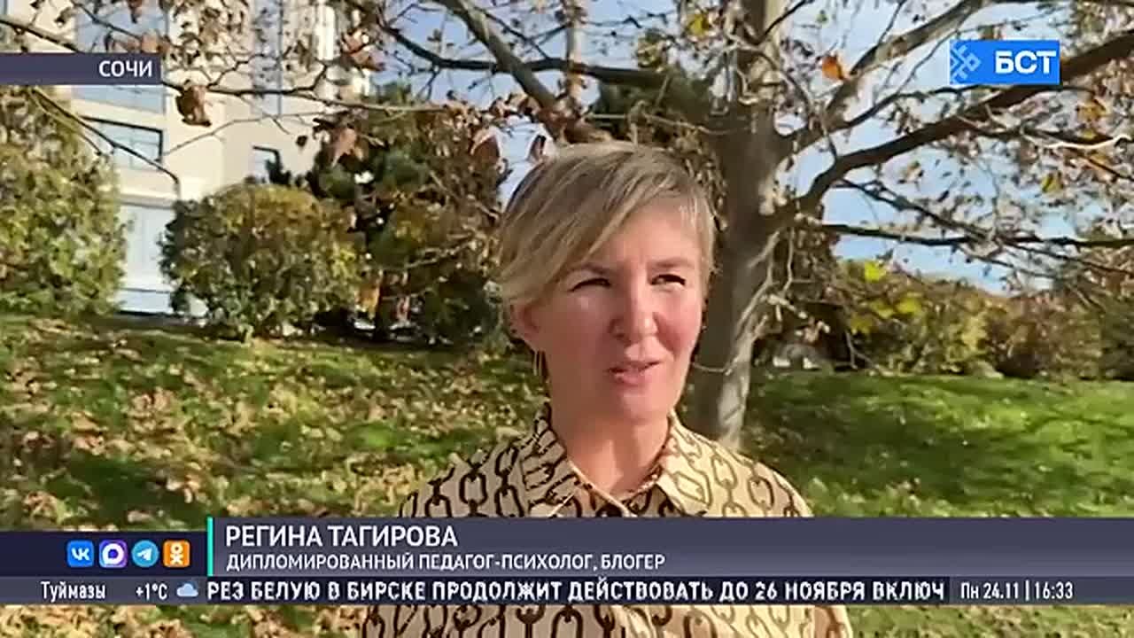 В России хотят запретить вести курсы блогерам без профильного образования