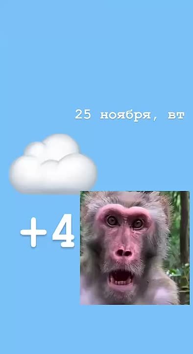 Доброе утро! А что-то типа зимы будет?