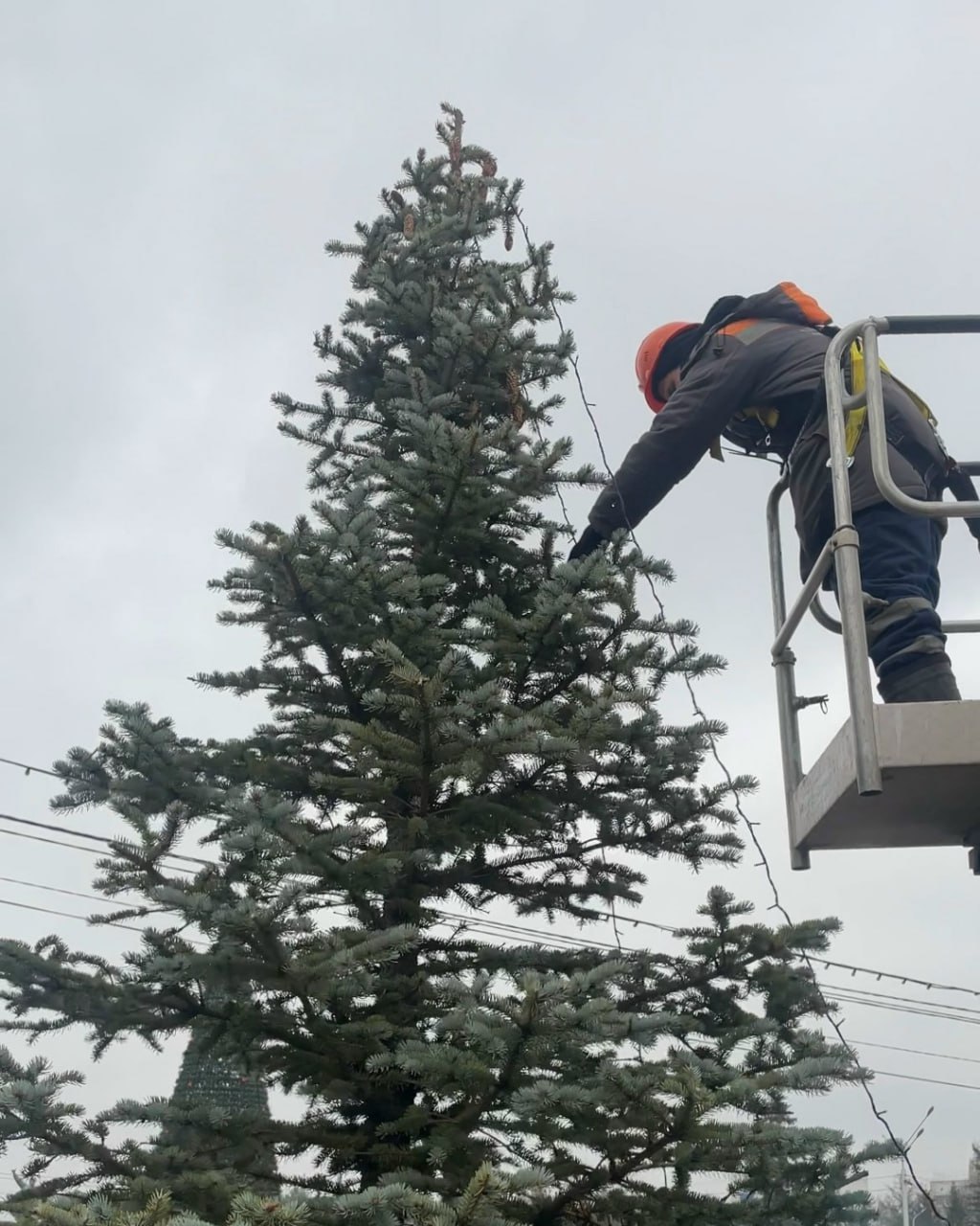 Украшают 14 елей перед горсоветом Уфы Украшают 14 елей перед горсоветом Уфы