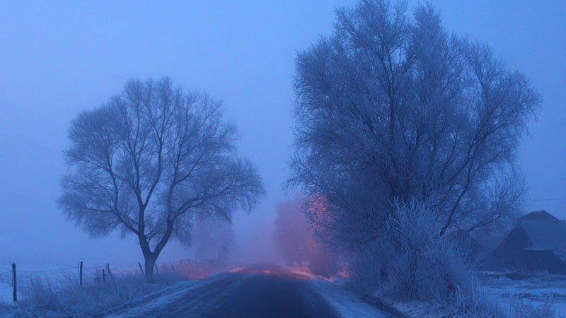 ������ ��������� ������ �����