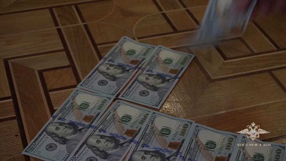 Ирина Волк: Трое злоумышленников реализовали криминальную схему предоставления бесплатных парковочных мест в Москве автомобилистам, не имеющим льгот