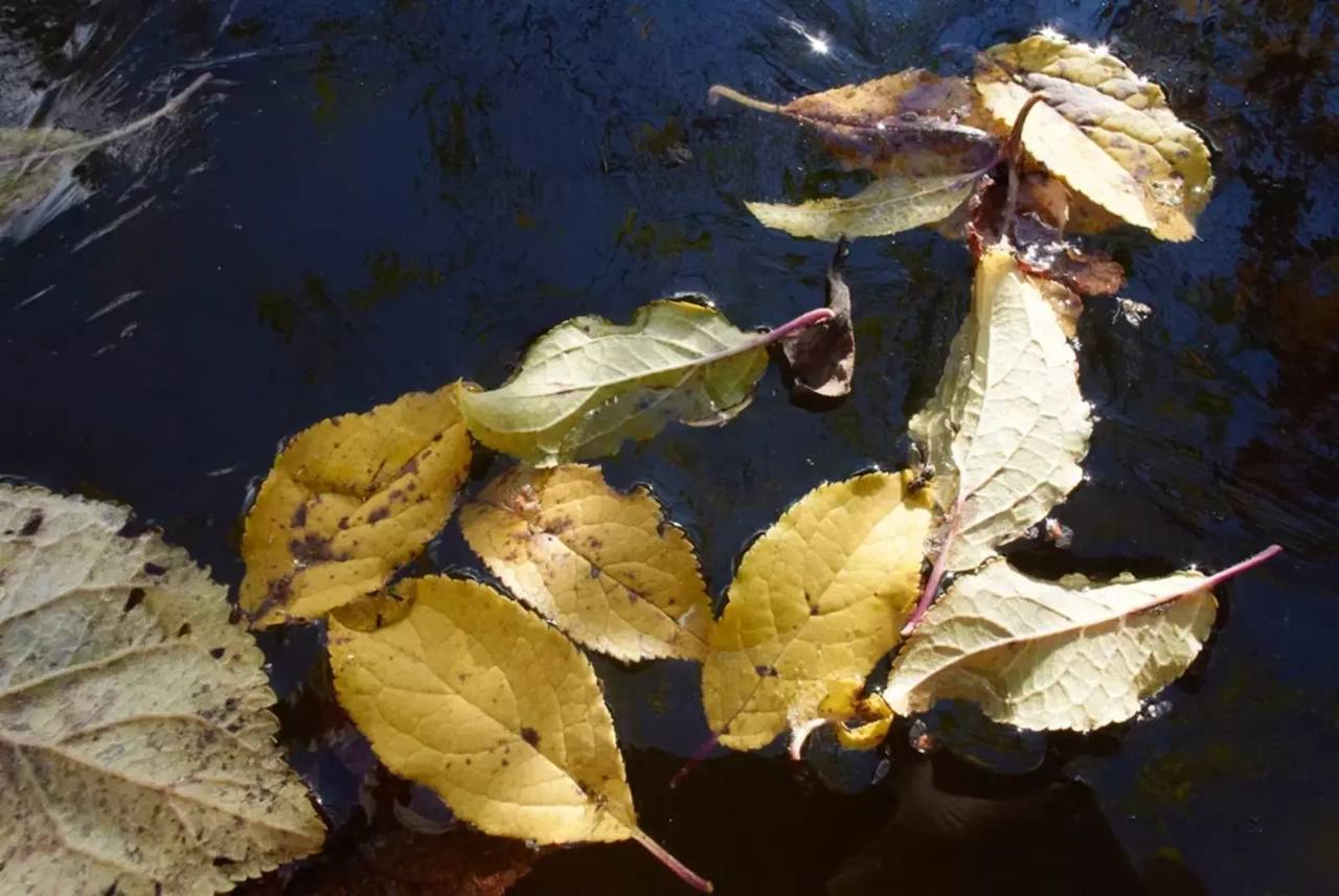 В Уфе перекрыт абсолютный максимум температуры воздуха