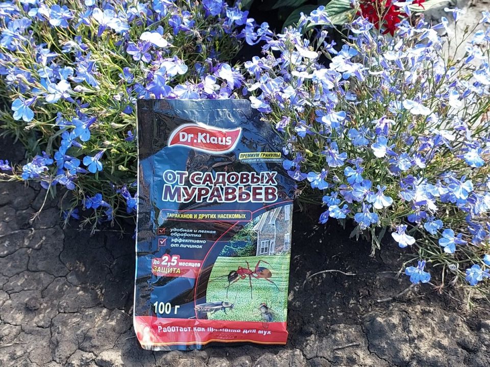 Гранулы Dr.Klaus: новое слово в борьбе с муравьями на даче