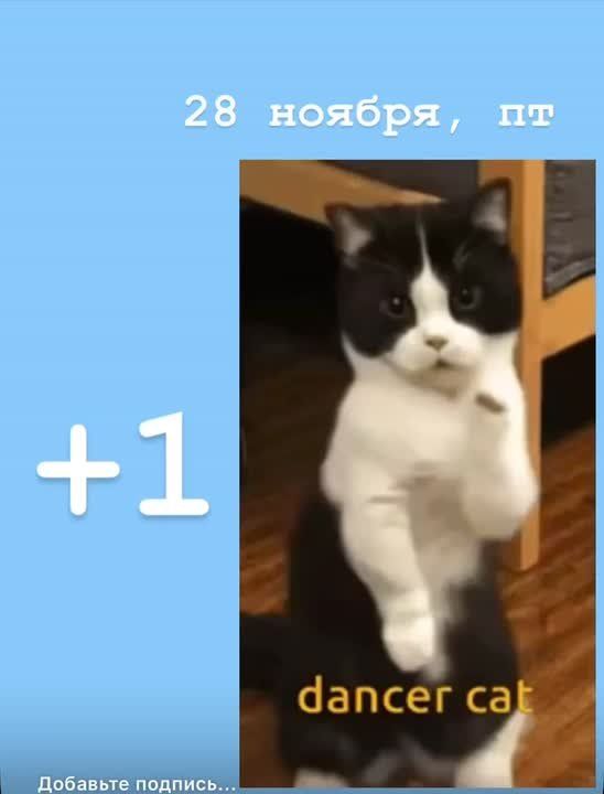 Утро реально доброе! С пятницей