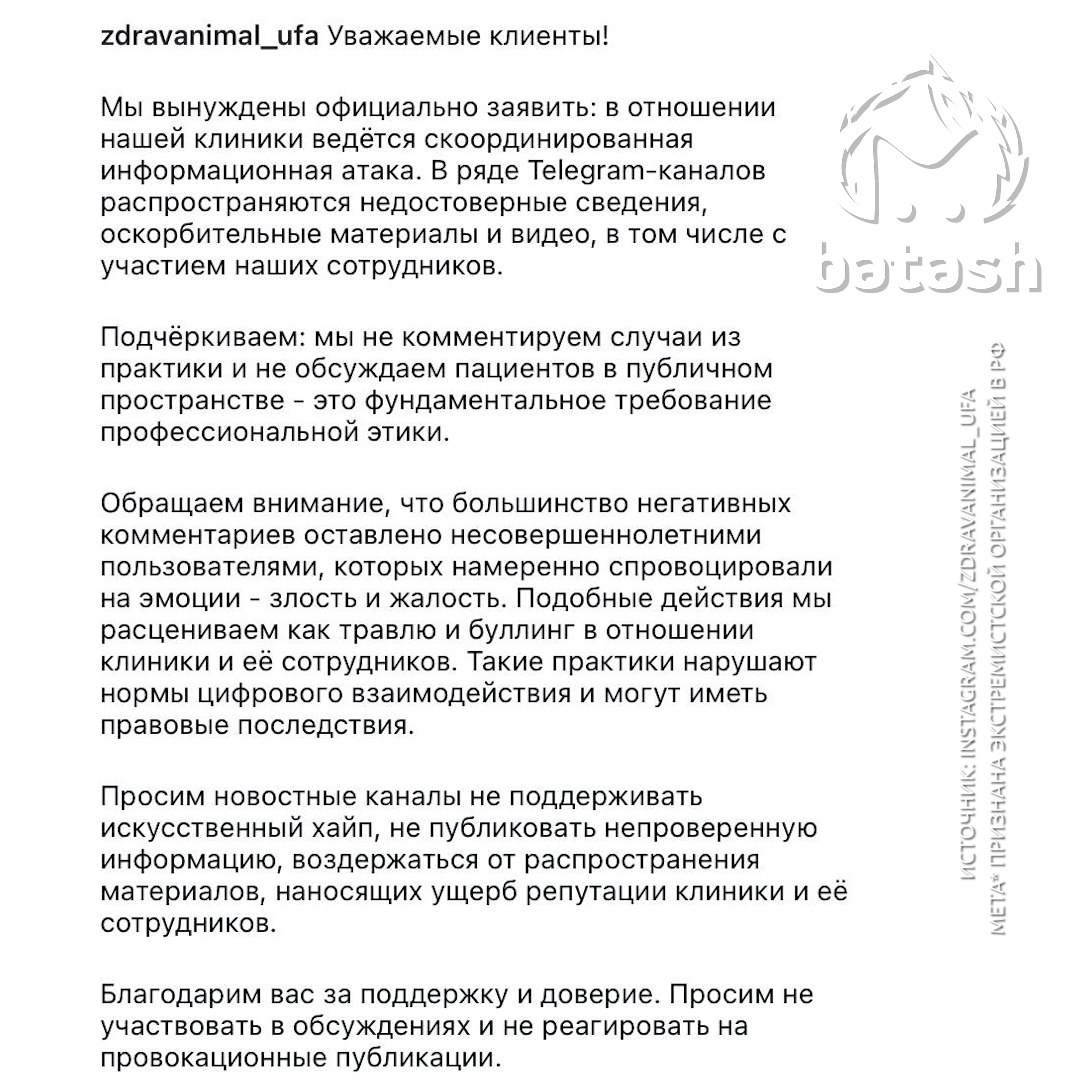 В клинике, где умер котик Локи, заявили, что вся история — клевета и атака эмоциональных подростков