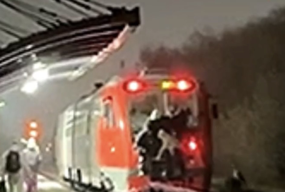 Транспортные полицейские Челябинска установили личности юных зацеперов, действия которых получили огласку в региональных СМИ Транспортные полицейские Челябинска установили личности юных зацеперов, действия которых получили огласку в региональных СМИ