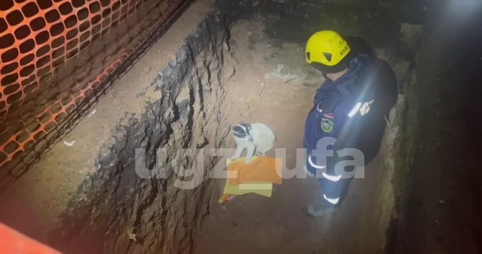 В Уфе спасатели вытащили собаку из ямы