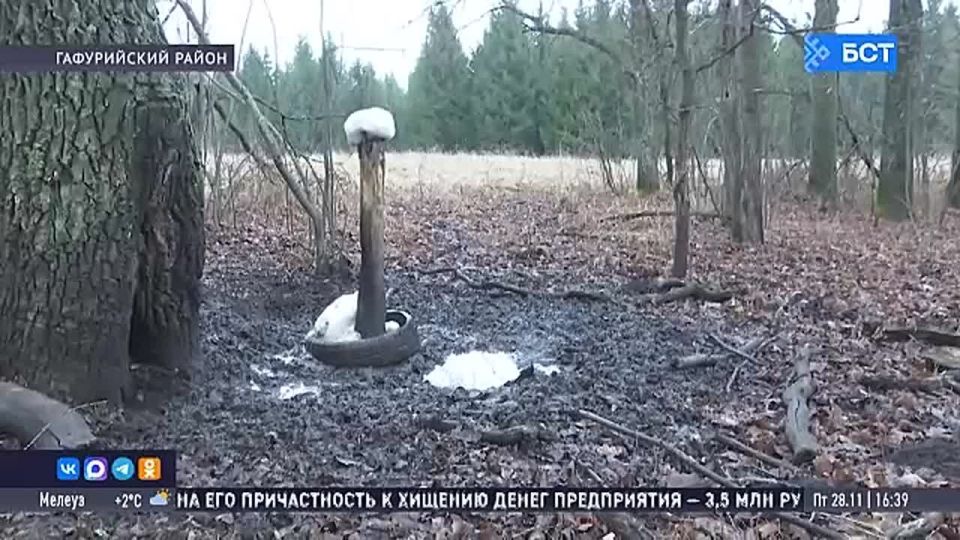 В Башкирии организуют кормовые площадки для животных