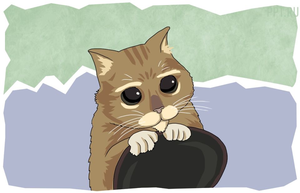 Пенсионные перспективы для самозанятых и ИП: что ждать в 2025 году?