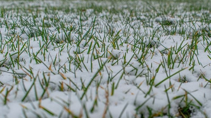 В Башкирии прогнозируется мокрый снег