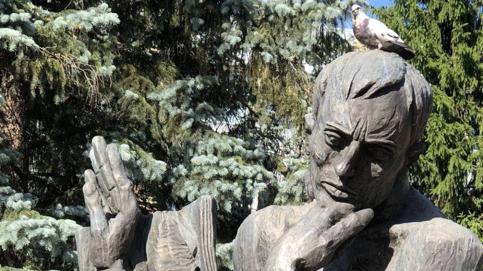 Изменения в жизни брянцев с ноября: новые пенсии, долги и правила