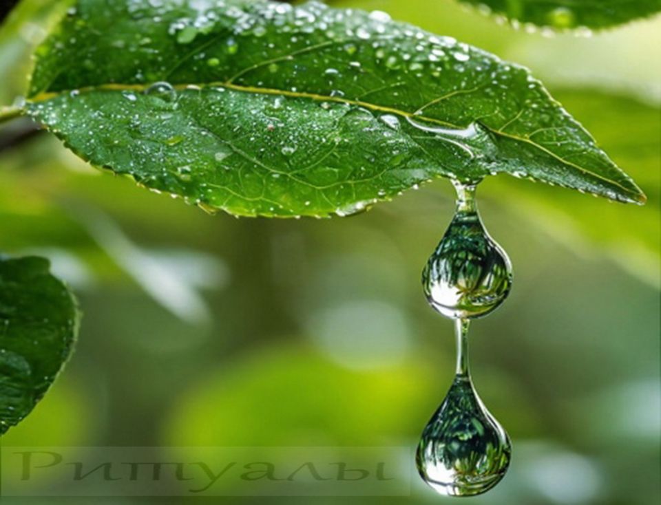 Как с помощью простых ритуалов активировать силу воды внутри себя