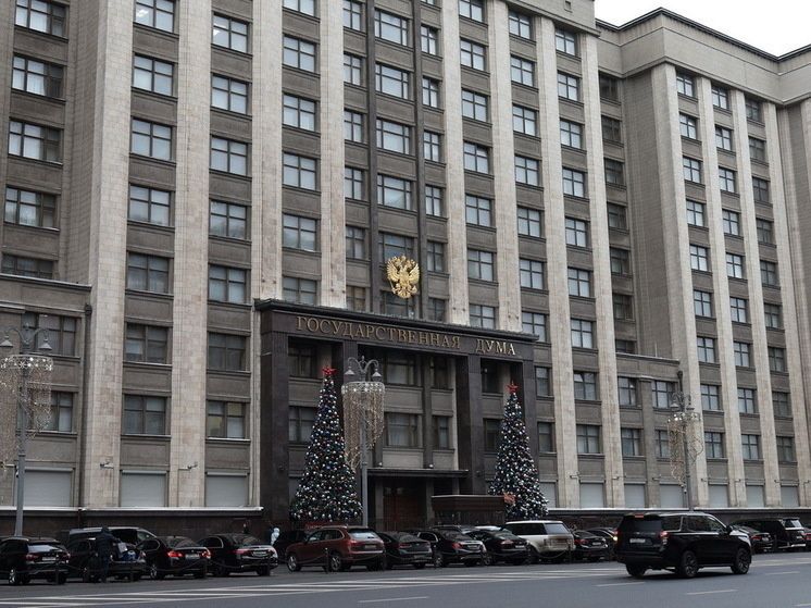 Госдума предлагает новый закон против мошенничества с «бабушкиной схемой»