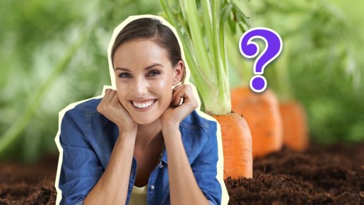 Вредители к моркови не приблизятся: посадите рядом с ней вот что