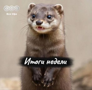 Итоги прошедшей недели:. «Вся Уфа» презентовала новый сезон Открылось движение по всем 4 полосам на Пугачева В Уфе обустроили новую пешеходную дорогу Ay Yola получила две музыкальные награды На набережной стартовала...