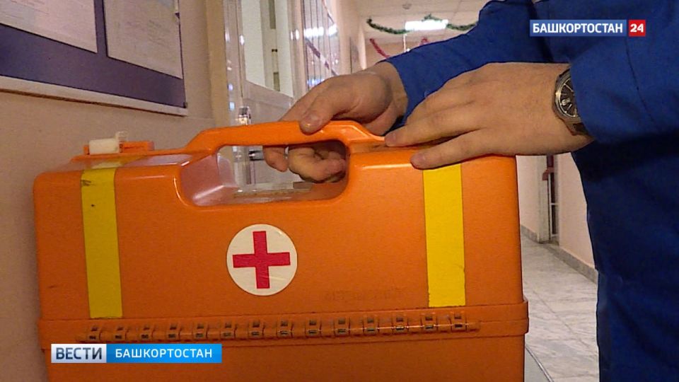 Медвежонок напал на мужчину в Башкортостане