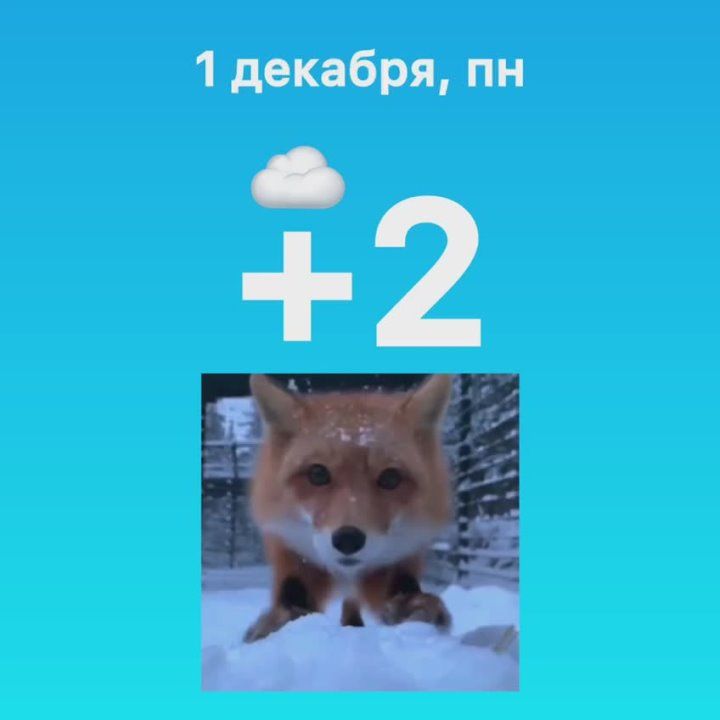 С первым днем зимы