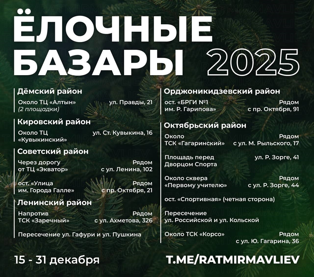 С 15 декабря в Уфе откроются ёлочные базары