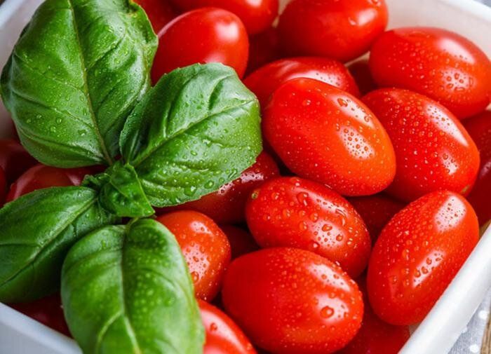 Секреты успешного садоводства: лучшие сочетания растений для вашего огорода