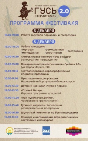 Программа фестиваля "Гусь 2.0". Ждём всех на фестивале!