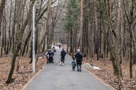 Заканчивается первый этап благоустройства Непейцевского дендропарка