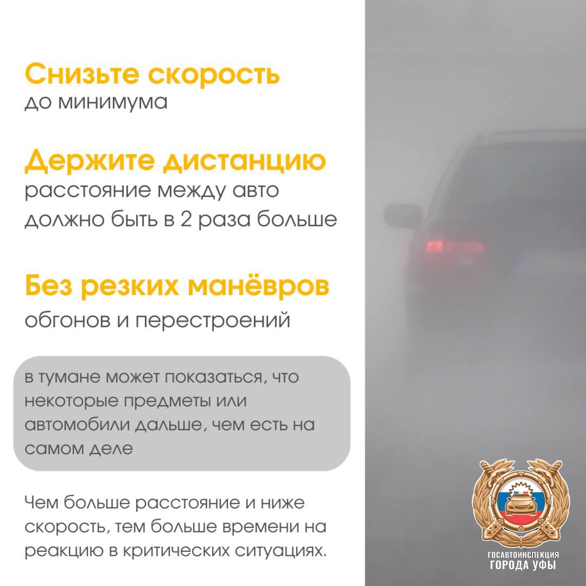 Уважаемые участники дорожного движения, сегодня мы наблюдаем ухудшение видимости из-за тумана Уважаемые участники дорожного движения, сегодня мы наблюдаем ухудшение видимости из-за тумана