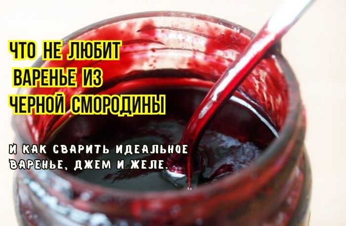 Ошибки в приготовлении варенья из черной смородины: советы по созданию идеального десерта