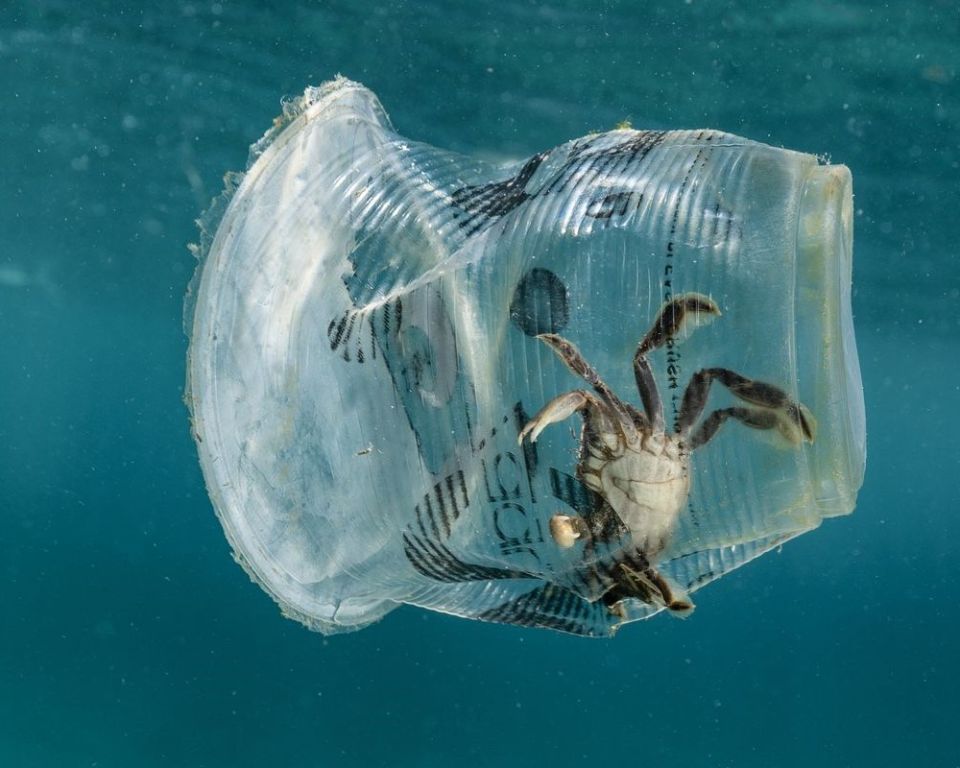 The Ocean Cleanup: смелый шаг к чистоте океанов