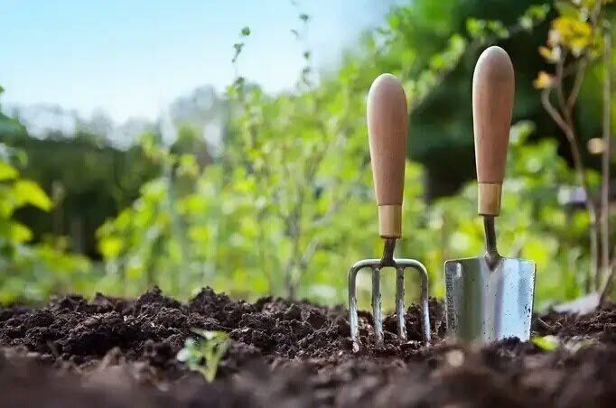 Почему весной стоит избегать трех популярных подкормок: мнение экспертов