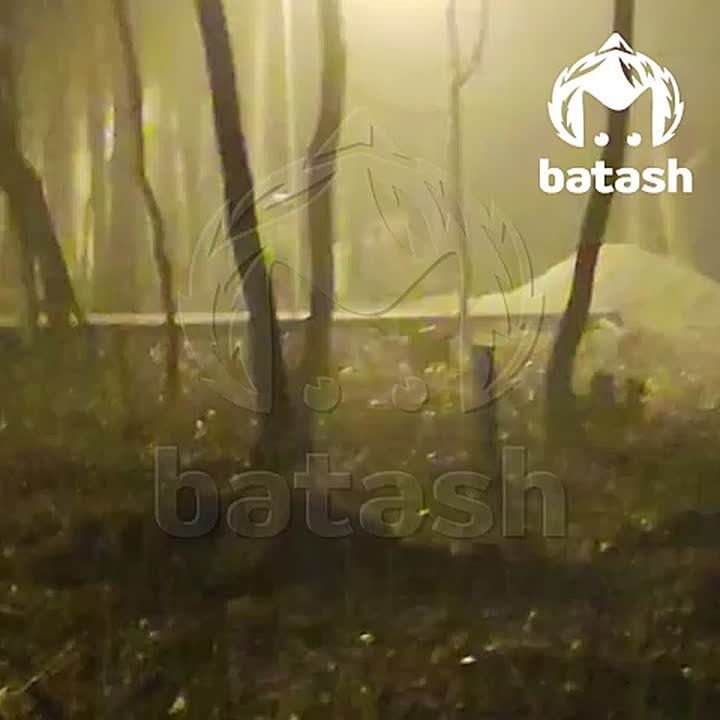 Мэр Уфы объявил о завершении первого этапа благоустройства Непейцевского дендропарка