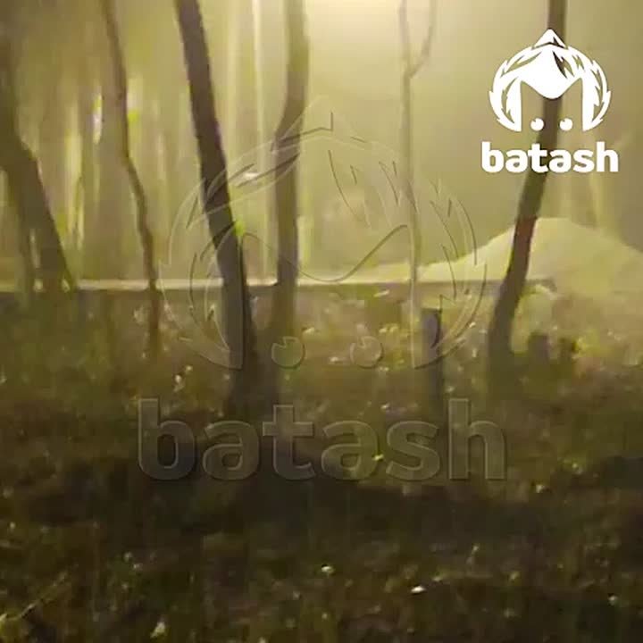 Мэр Уфы объявил о завершении первого этапа благоустройства Непейцевского дендропарка