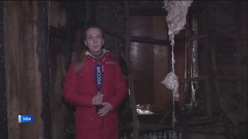 В Уфе сгорел приют «Мягкие лапки»: почему случился пожар и чем можно помочь