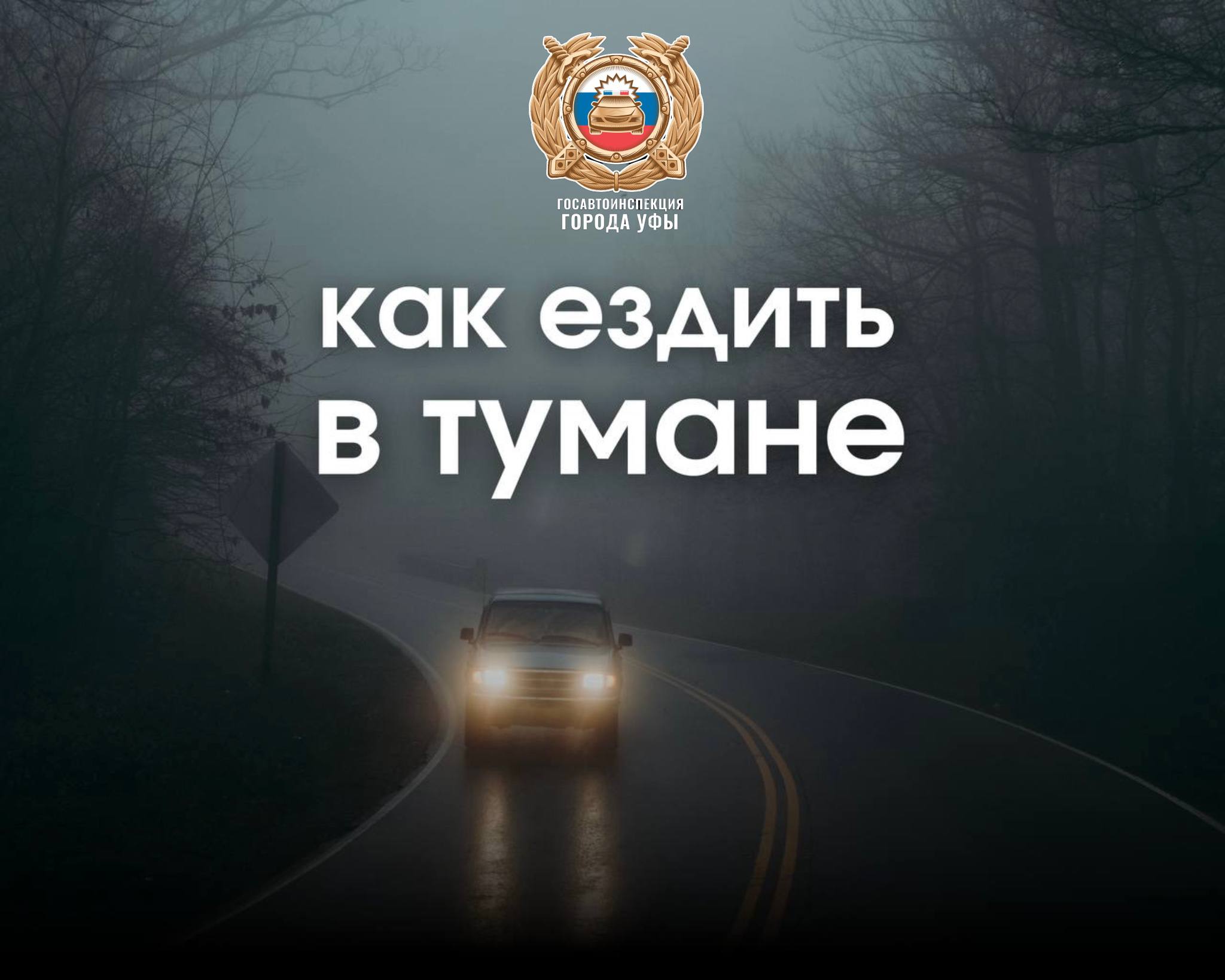 Уважаемые участники дорожного движения, сегодня мы наблюдаем ухудшение видимости из-за тумана