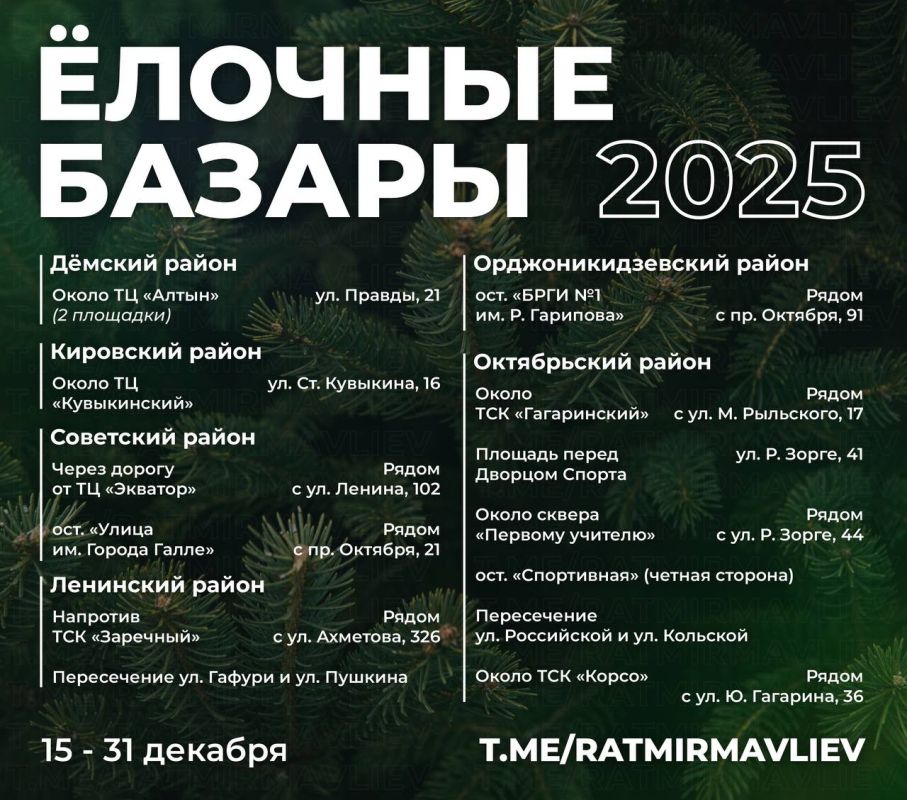 В шести районах Уфы откроются елочные базары