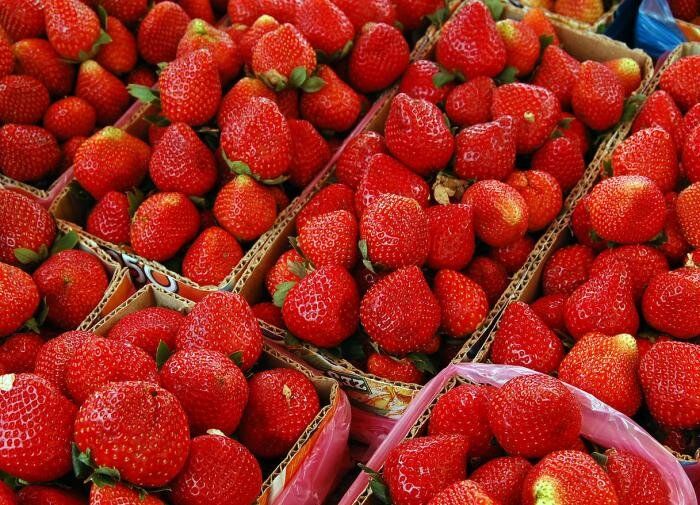 Как правильно поливать клубнику: советуем на практике