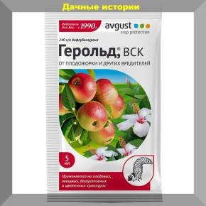 Как сохранить урожай: ответы на важнейшие вопросы дачников
