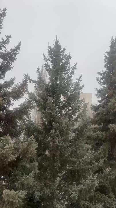 Кто снег заказывал? Держите