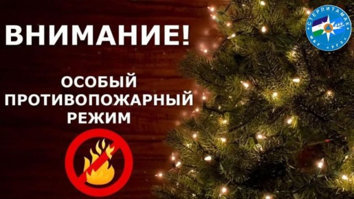 В Башкортостане введут особый противопожарный режим на период новогодних праздников