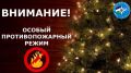 В Башкортостане введут особый противопожарный режим на период новогодних праздников