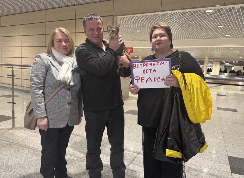 Кот из Москвы, потерявшийся в поезде, шесть дней колесил по стране